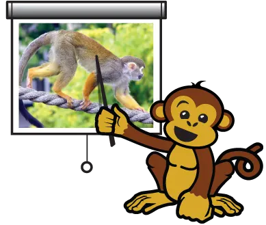 cartoon monkey using a pointer to point at a pull-down movie screen on which there is an image of a squirrel monkey walking on all fours on a large rope.
